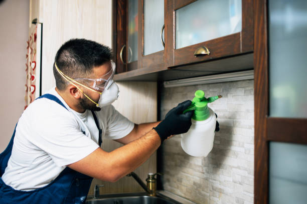 Best Best Pest Control Companies  in Acton, CA