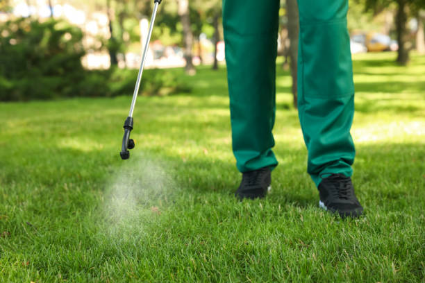 Best Mosquito Control Services  in Acton, CA