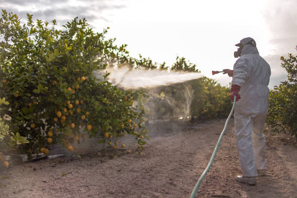 Best Pest Control Treatment  in Acton, CA