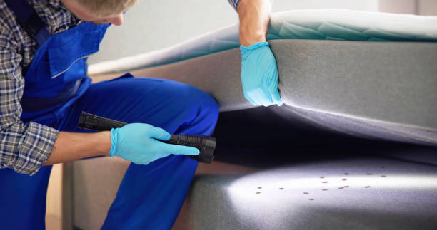 Best Emergency Pest Control  in Acton, CA