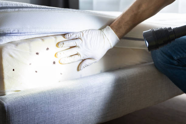 Best Wildlife Control Services  in Acton, CA