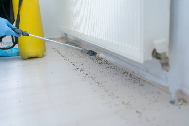 Best Commercial Pest Control Services  in Acton, CA