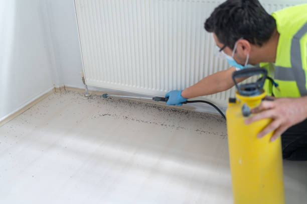 Best Emergency Pest Control  in Acton, CA