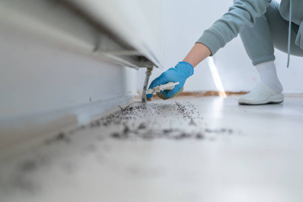 Best Cockroach Control Services  in Acton, CA